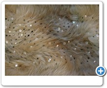 collection 4 strass spread on snow-top fox